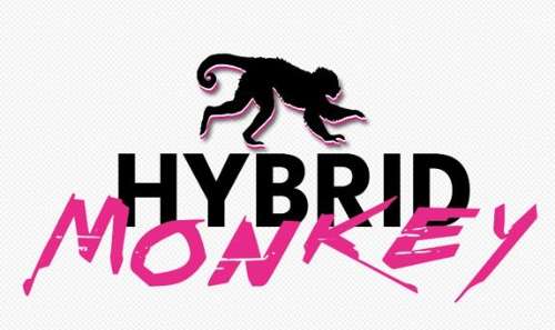 Imagen del evento HYBRID MONKEY VI - Sexta Edición